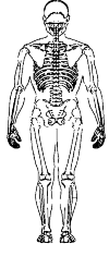 skeleton man seen from behind